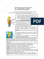 Guía de aprendizaje sobre el sistema respiratorio y circulatorio