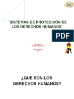 Sistemas de Protección De: Los Derechos Humanos
