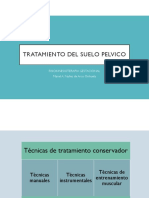 Tratamiento Del Suelo Pelvico: Fisiokinesioterapia Gestacional Mariel A. Nuñez de Arco Orihuela