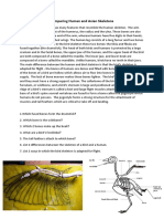 S2Science Comparing Human and Avian Skeletons Homelearning Task WB 22 02 21