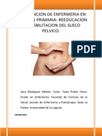 Intervencion de Enfermeria en Atencion Primaria: Reeducacion Y Rehabilitacion Del Suelo Pelvico