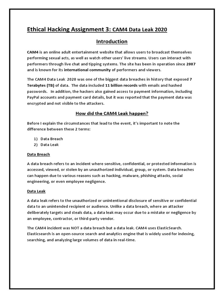 CAM4 Data Leak Analysis 2020 PDF Security Computer Security