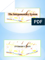 The Integumentary System: Protection, Temperature Regulation & Sensation