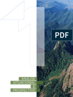 Análise Situacional E Prospectiva