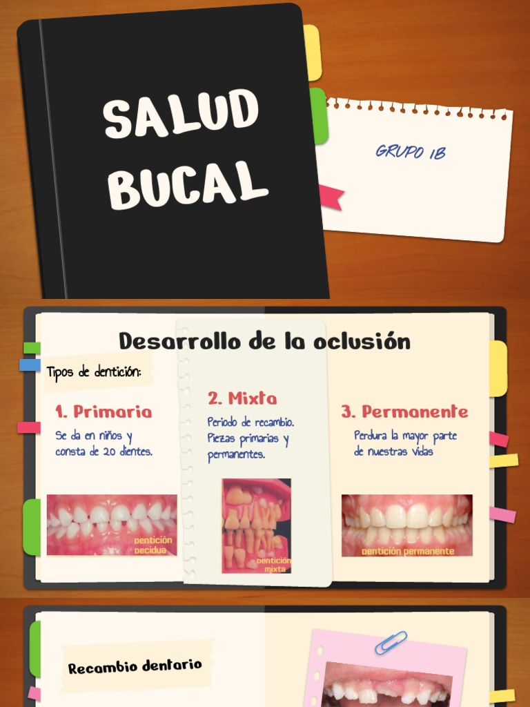 Salud Bucal Pdf Higiene Oral Diente