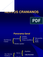 Nervos+Cranianos (1)