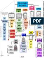 Mapa Mental - Posição para Exames