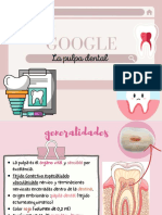 Pulpa Dental