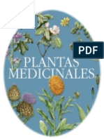 Plantas Medicinales