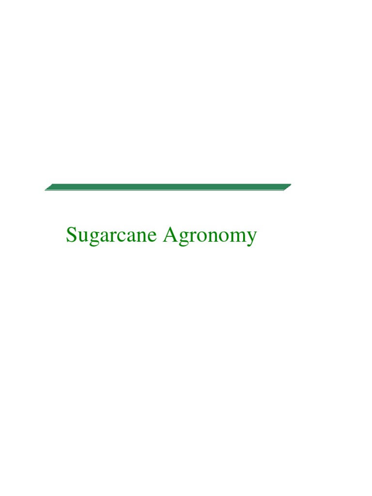 Sugarcane Agronomy Pdf Plough Sugarcane