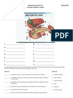 BIO 202 Digestion II Lab PDF S22