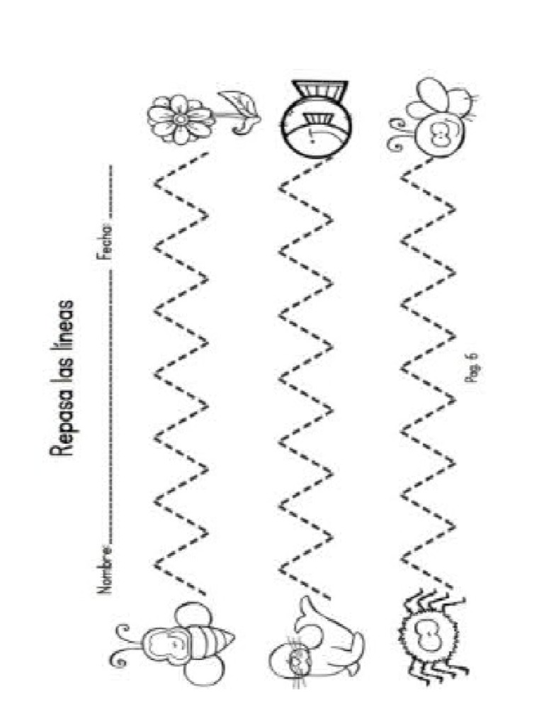 Traz pdf