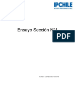 Ensayo Sección N1