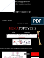 Hematopoyesis Final