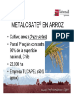 Presentacion Arroz - Metalosate