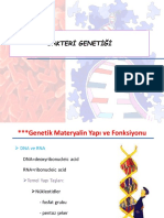 Bakteri Genetiği