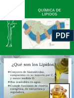 Tema 4bio Quimica de Los Lipidos (1)