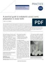 Practice: A Practical Guide To Endodontic Access Cavity Preparation in Molar Teeth