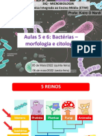 Bactérias. Morfologia e Citologia