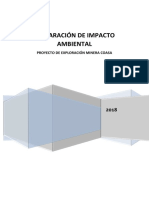 Declaración de Impacto Ambiental