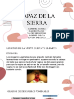 Capaz de La Sierra: Martinez Mendez Ramirez Saenz Valdez Hernandez Ramirez Garcia Rivera Barcenas