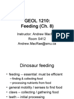 GEOL1210 06 Feeding