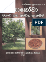 කොකෝවා