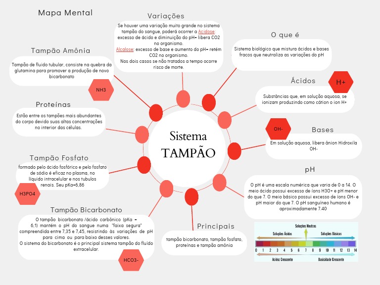 mapa mental sistema tampão | PDF | Solução-tampão | Bicarbonato