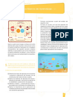 DBA C.naturales-Min 26