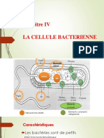Chapitre IV La Cellule Bacterienne