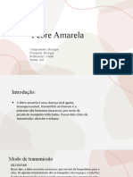 Febre Amarela: Transmissão, Sintomas e Prevenção