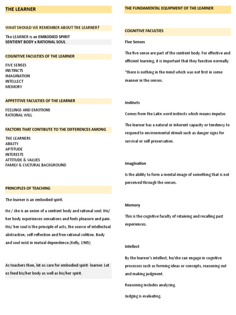 The Learner Pdf Cognition Experience