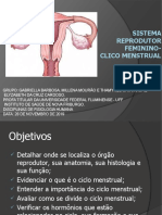 Sistema Reprodutor Feminino - Slide