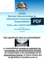 Niifs Sobre Sostenibilidad: Dr. Carlos Leguizamon