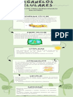 Green Organic Natural Photosynthesis Biology Infographic 