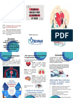 Plegable Hipertensión Arterial