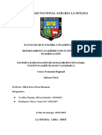 Informe - Curso Economia Regional - UNALM