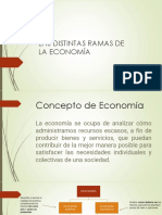 Las Distintas Ramas de La Economía