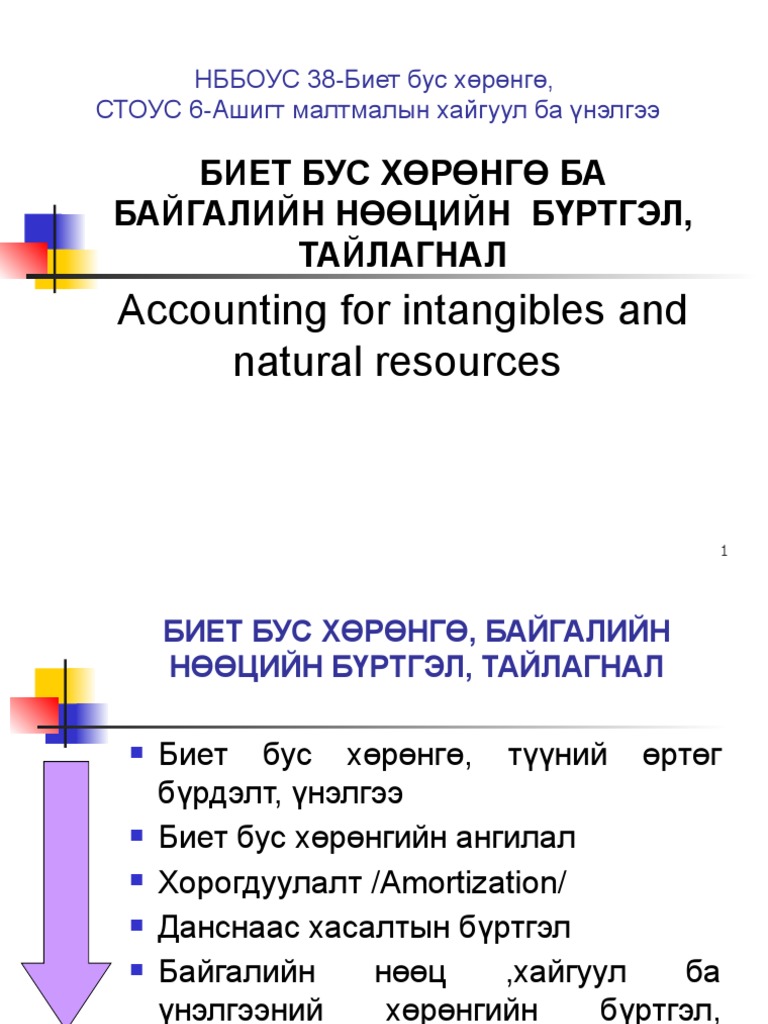 Accounting For Intangibles and Natural Resources | PDF