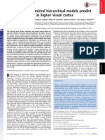 Performance-Optimized Hierarchical Models Predict Neural Responses in Higher Visual Cortex