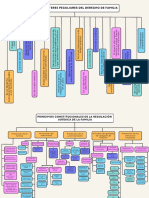 Derecho de Personas y Sucesiones - Semana 2