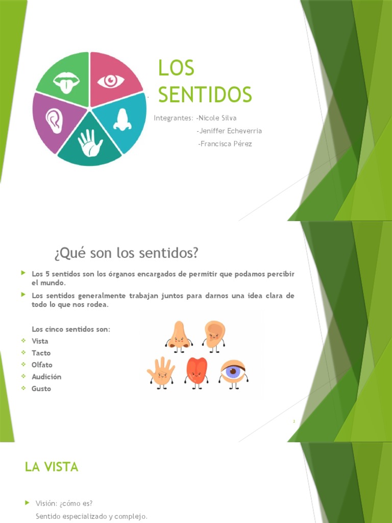 Los 5 Sentidos Pdf Gusto Oído