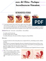 Malformaciones Del Utero, Prolapso Genital e Incontinencia Urinaria