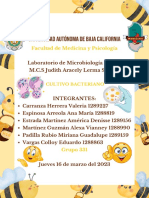 Cultivo de microorganismos y cepas bacterianas