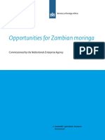 Opportunities For Zambian Moringa