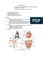 Sistem Ekskresi Organ Tubuh