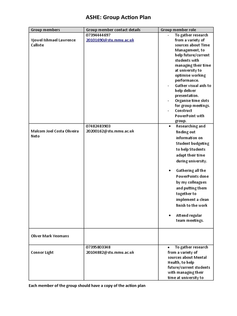 ASHE: Group Action Plan: 20101690@stu - Mmu.ac - Uk | PDF