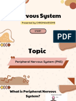 Nervous System Overview: PNS and Its Divisions