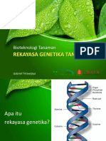 Rekayasa Genetika Tanaman