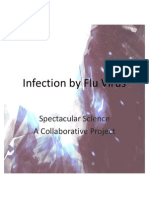 Infection by Flu Virus